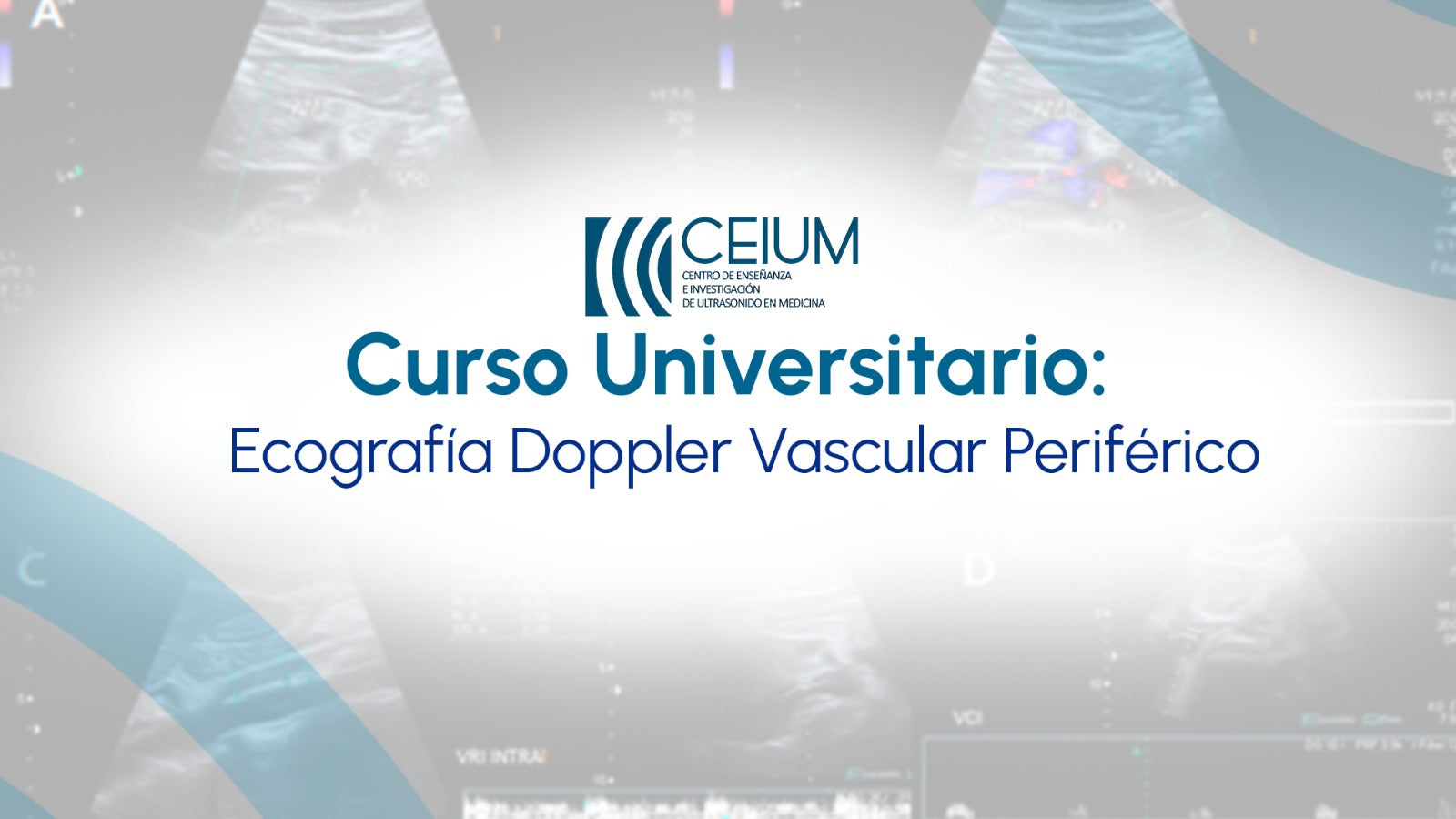 Curso Universitario: Ecografía Doppler Vascular Periférico