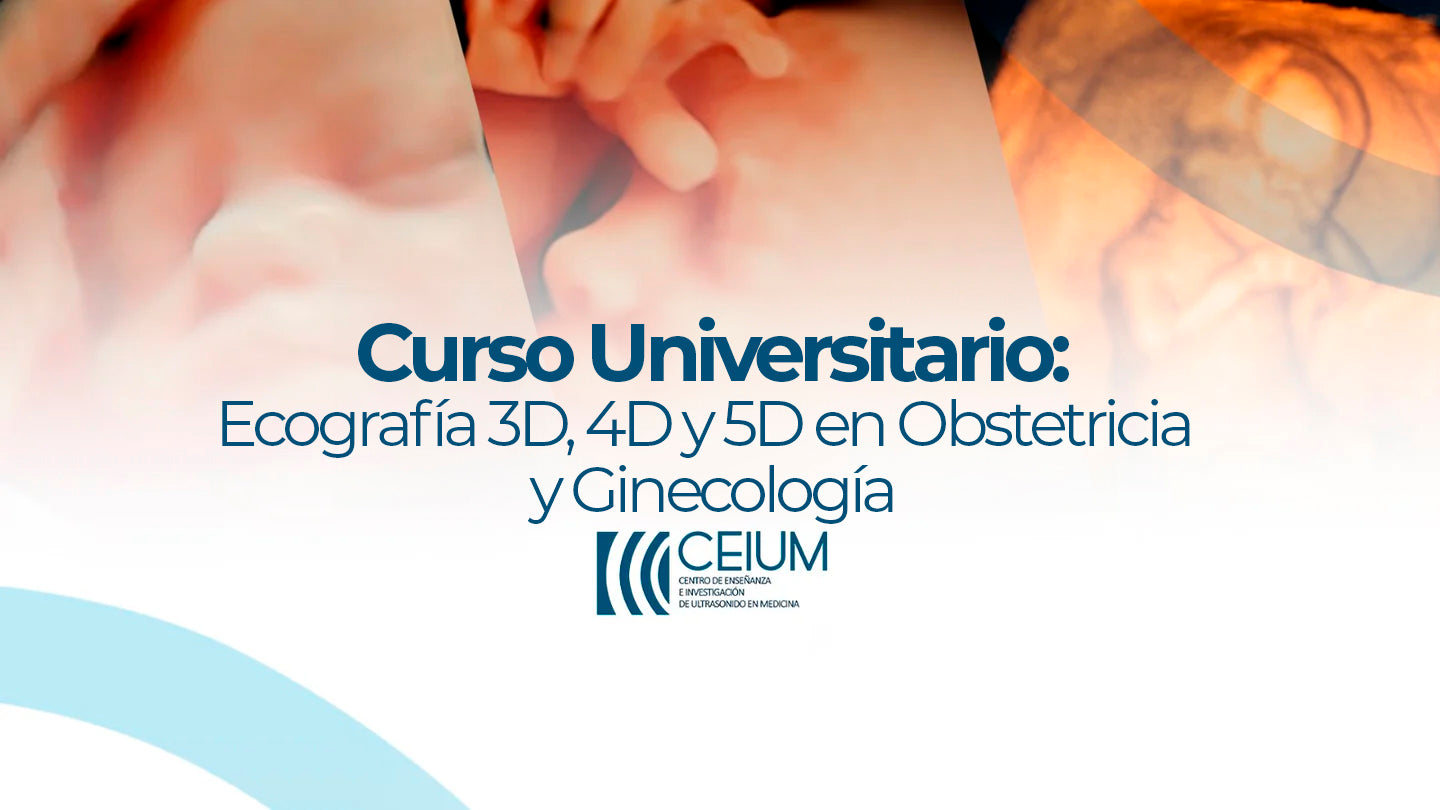 Curso Universitario: Ecografía 3D, 4D y 5D en Obstetricia y Ginecología