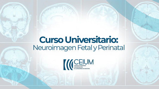 Curso Universitario: Neuroimagen Fetal y Perinatal