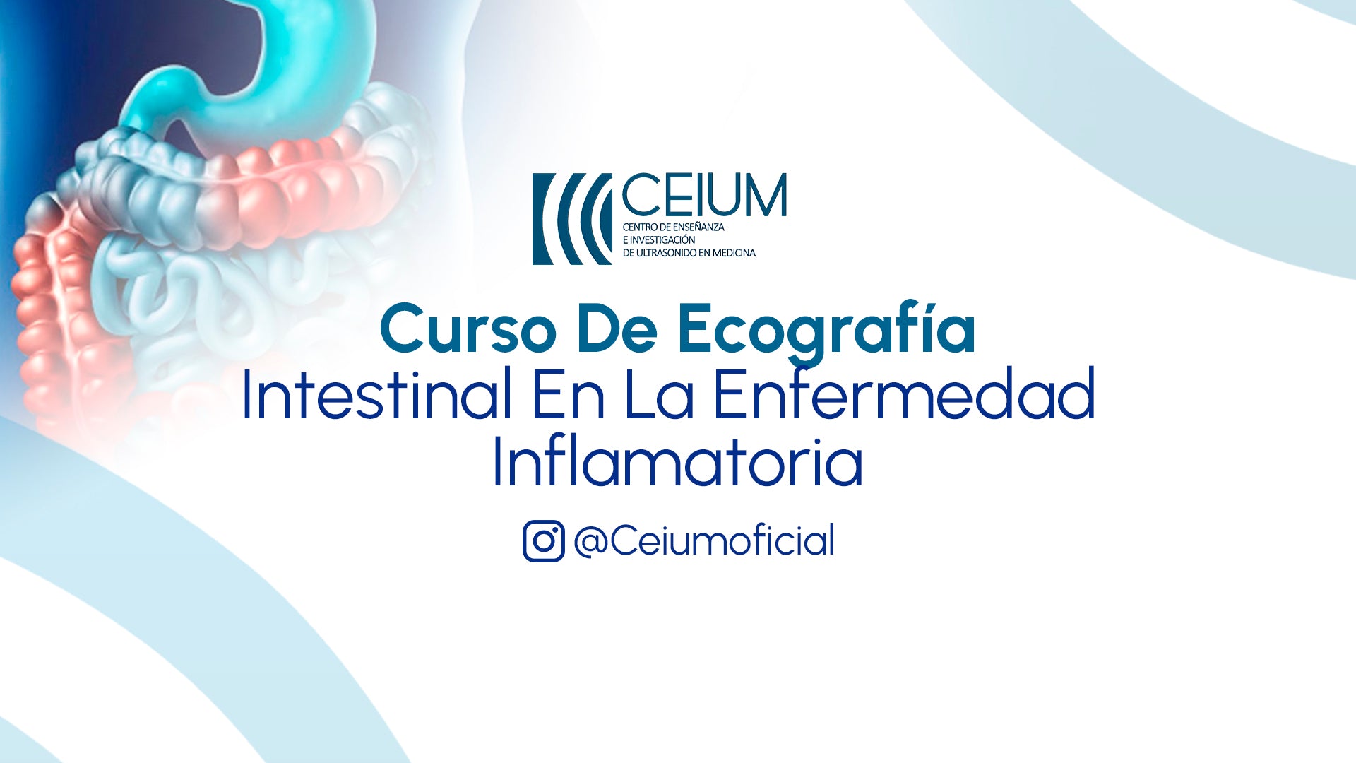 Curso de Ecografía Intestinal en la Enfermedad Inflamatoria