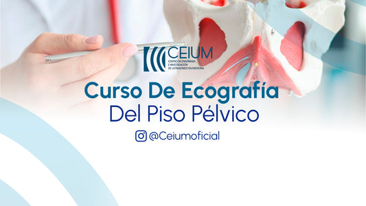 Curso de Ecografía del Piso Pélvico