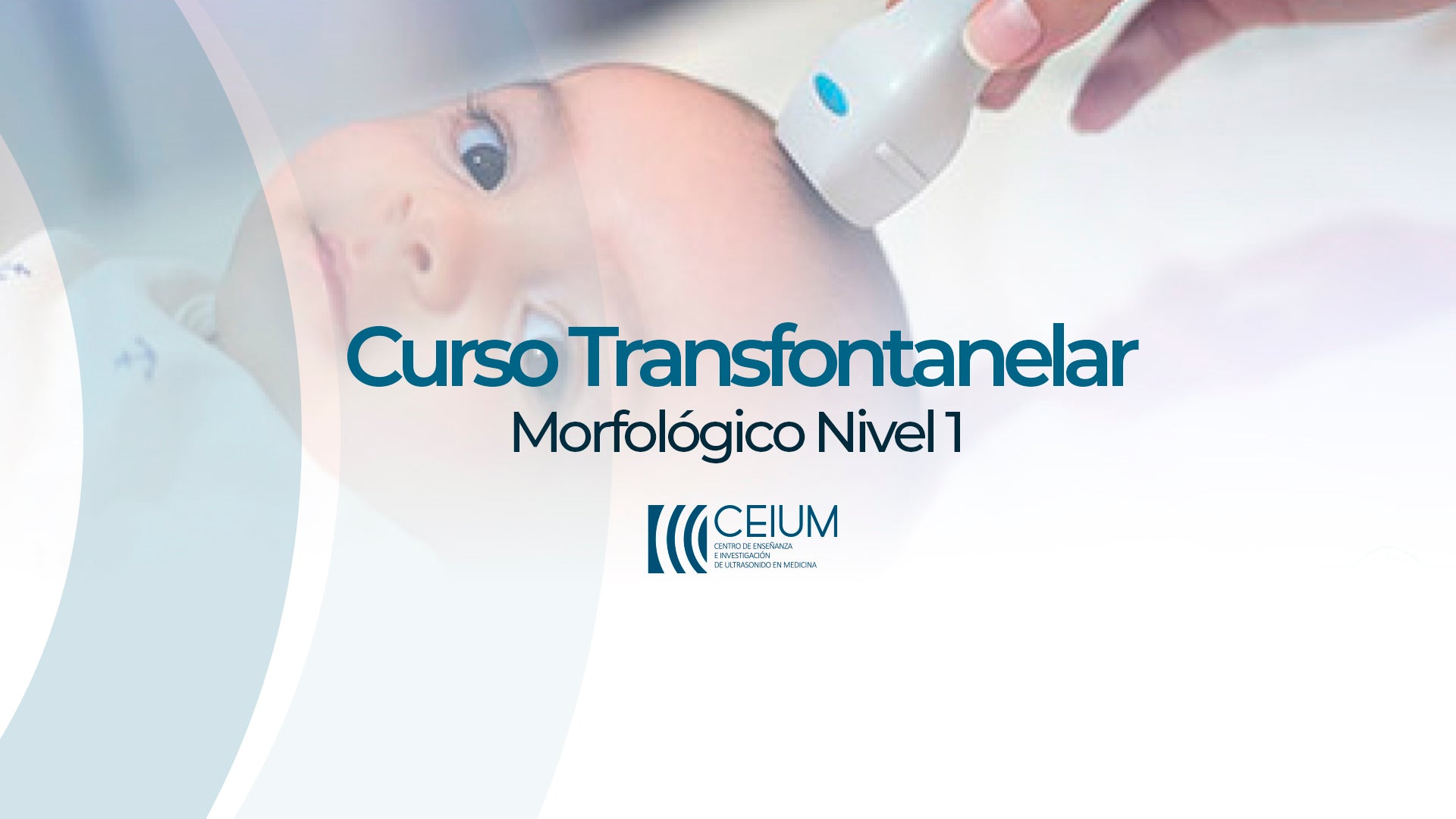 Taller de Ecografía Doppler Transfontanelar y Transcraneal