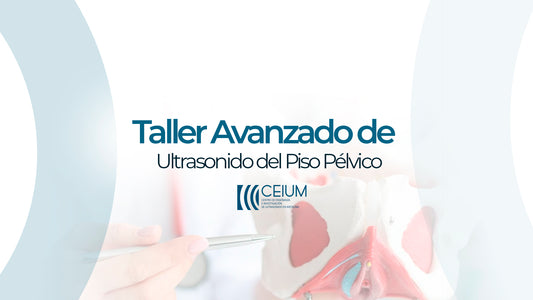 Taller Avanzado de Ultrasonido del Piso Pélvico